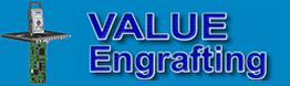 Value Engrafting Company Logo